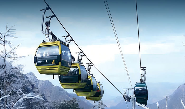 Bi-cable tramway